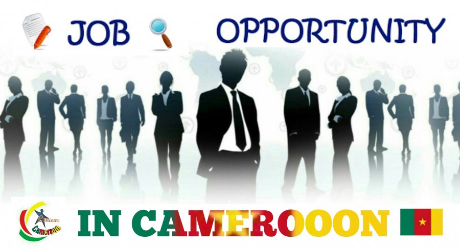 UNICEF Cameroon Current job opportunities – Nutrition Officer, (NO-2), Yaoundé