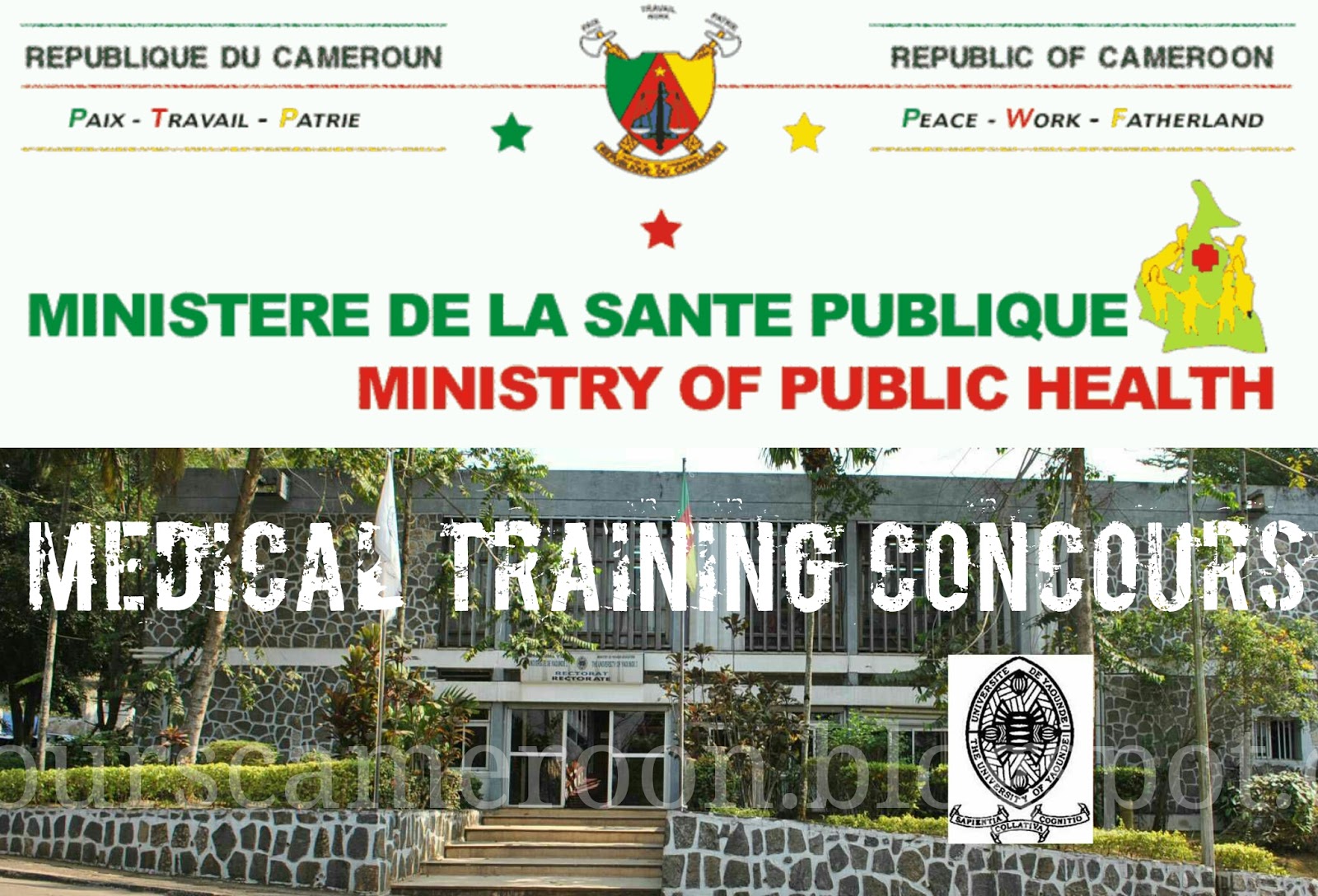 Results of the National Comprehensive Clinical and Therapeutic Examination for the medical training in Cameroon for the 2019