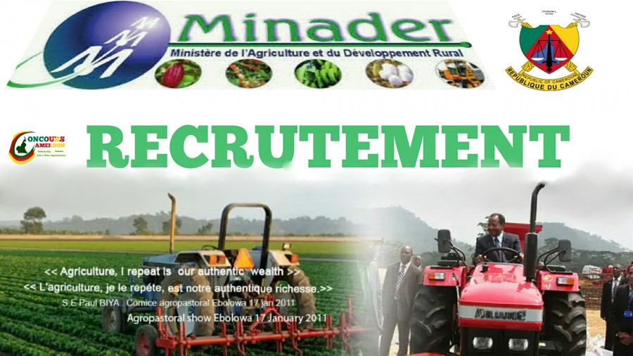 MINADER – FINAL RESULTS OF THE SPECIAL RECRUITMENT OF OCTOBER 15, 2019