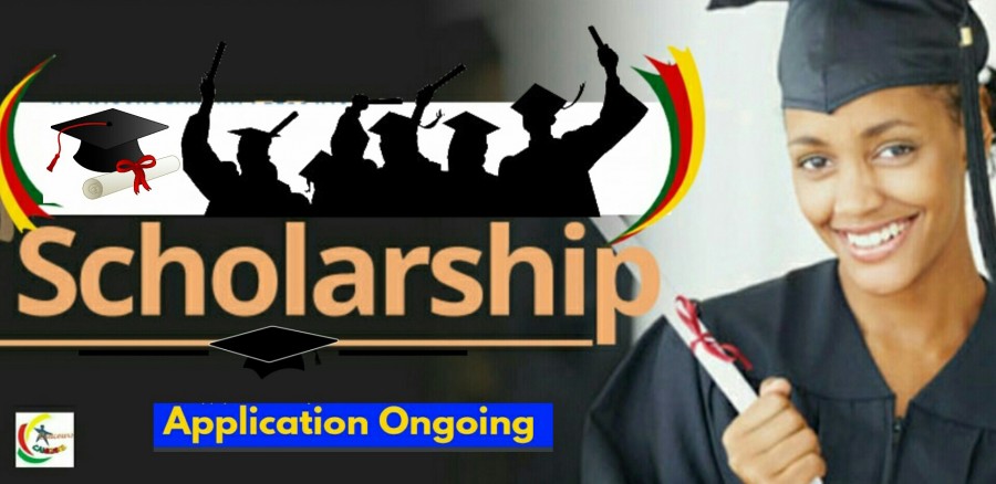 Programme de bourses de recherche de l’Université de Wageningen Pays-Bas pour étudiants africains 2020/2021